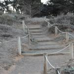 Cambria_0576 (November 02, 2013)